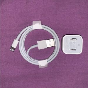 Apple charger - lighting cable and power adapter